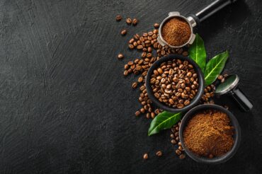 Pemilihan Benih Kopi yang Baik