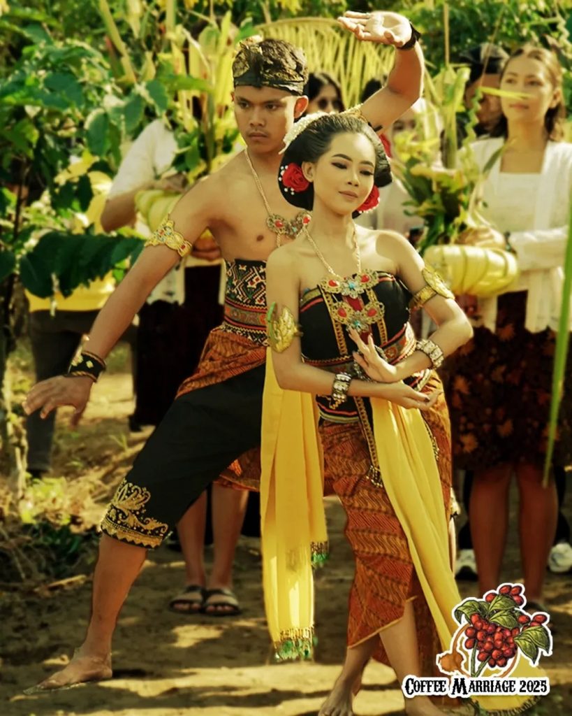 tradisi manten kopi di kebun kopi De Karanganjar