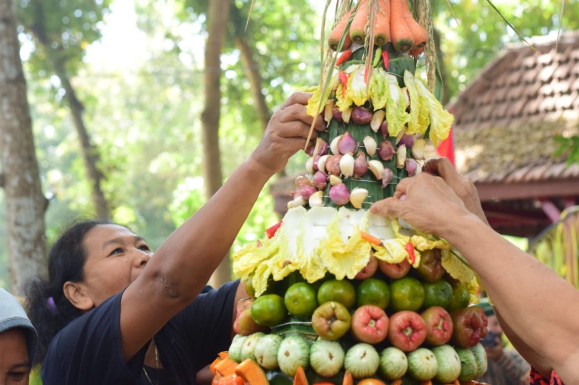 0d2931bc32b1f552f7a006d9957237