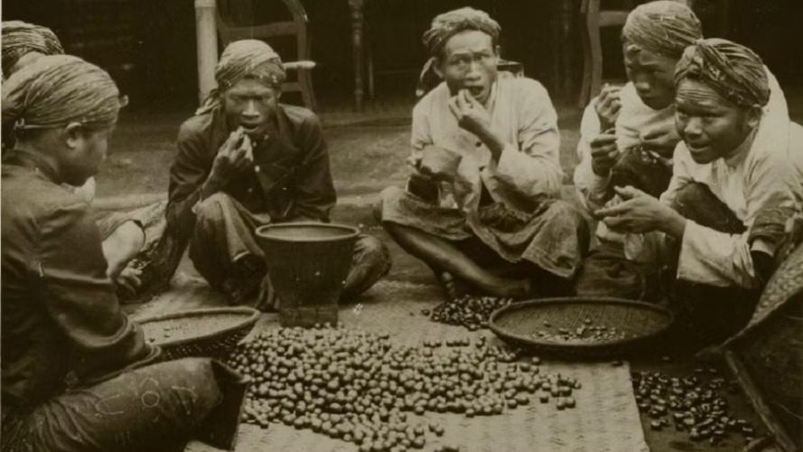 Kopi1