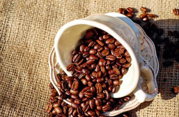 ragam jenis kopi