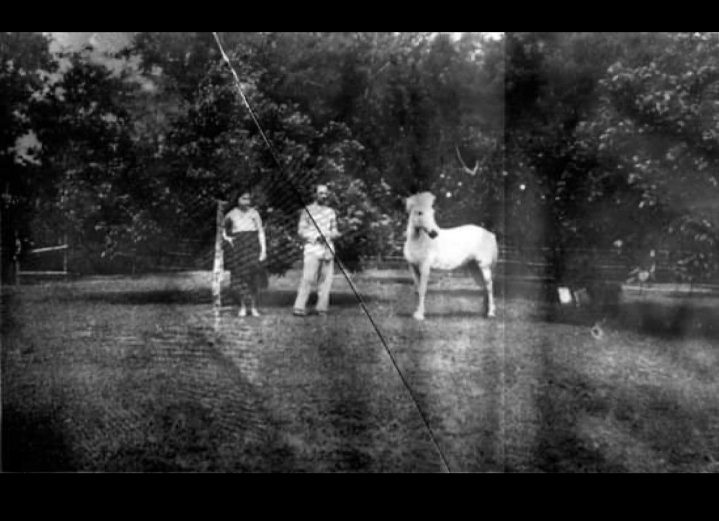 19__ Painem & Paul Constant Schaaf
